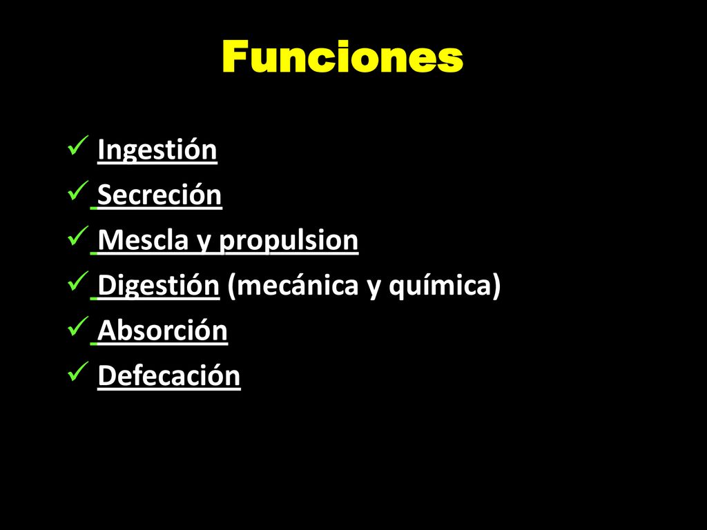 Funciones Ingestión Secreción Mescla y propulsion