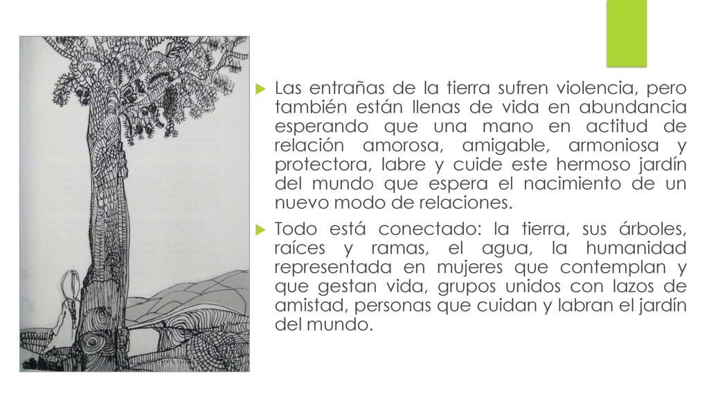 Las entrañas de la tierra sufren violencia, pero también están llenas de vida en abundancia esperando que una mano en actitud de relación amorosa, amigable, armoniosa y protectora, labre y cuide este hermoso jardín del mundo que espera el nacimiento de un nuevo modo de relaciones.