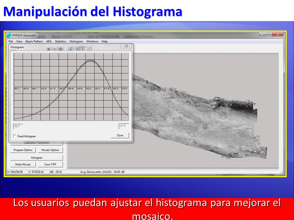 Los usuarios puedan ajustar el histograma para mejorar el mosaico.