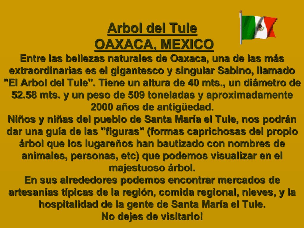 Arbol del Tule OAXACA, MEXICO Entre las bellezas naturales de Oaxaca, una de las más extraordinarias es el gigantesco y singular Sabino, llamado El Arbol del Tule .