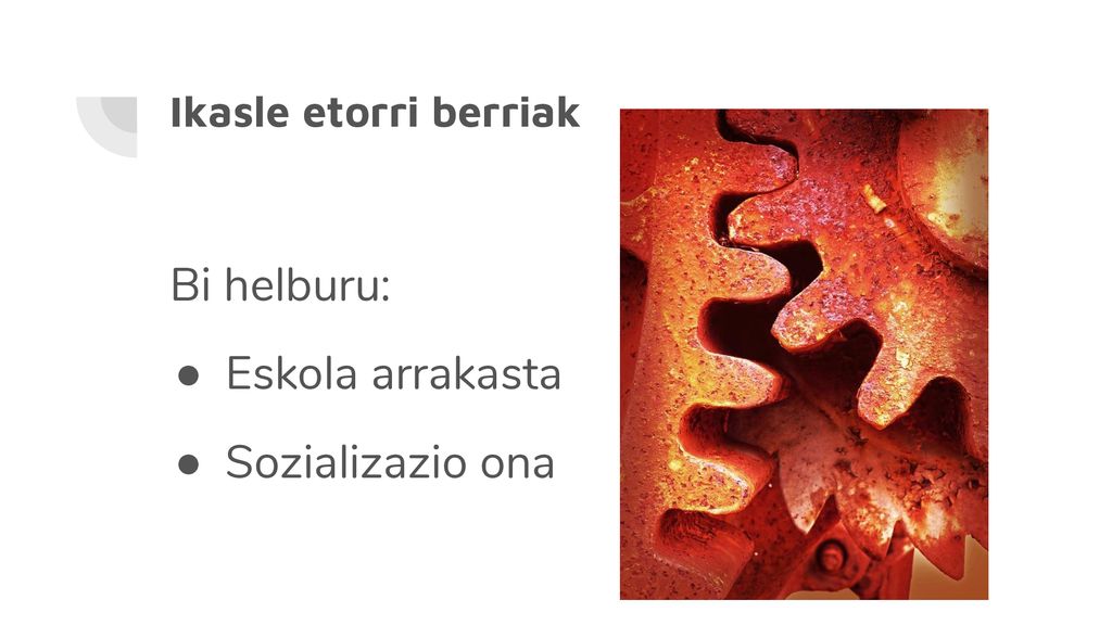 Ikasle etorri berriak Bi helburu: Eskola arrakasta Sozializazio ona