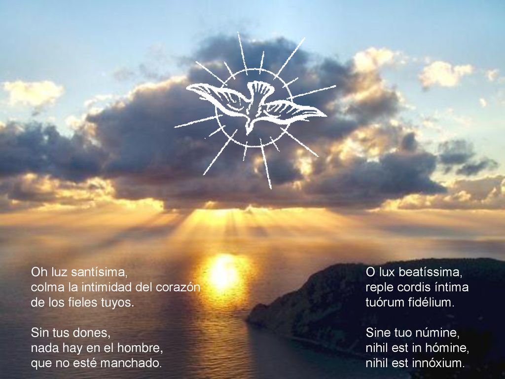 Oh luz santísima, colma la intimidad del corazón. de los fieles tuyos. Sin tus dones, nada hay en el hombre,