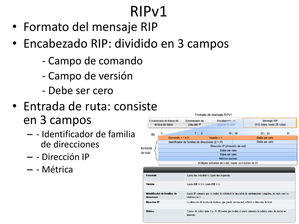RIPv1 Formato del mensaje RIP Encabezado RIP: dividido en 3 campos