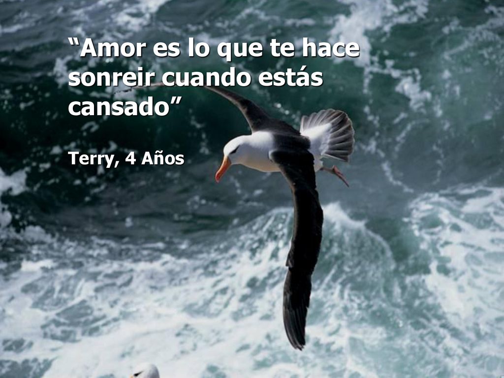Amor es lo que te hace sonreir cuando estás cansado