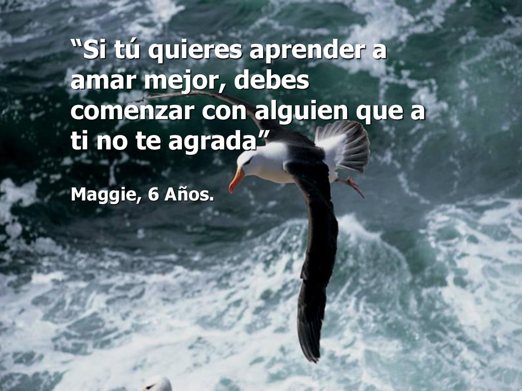 Si tú quieres aprender a amar mejor, debes comenzar con alguien que a ti no te agrada