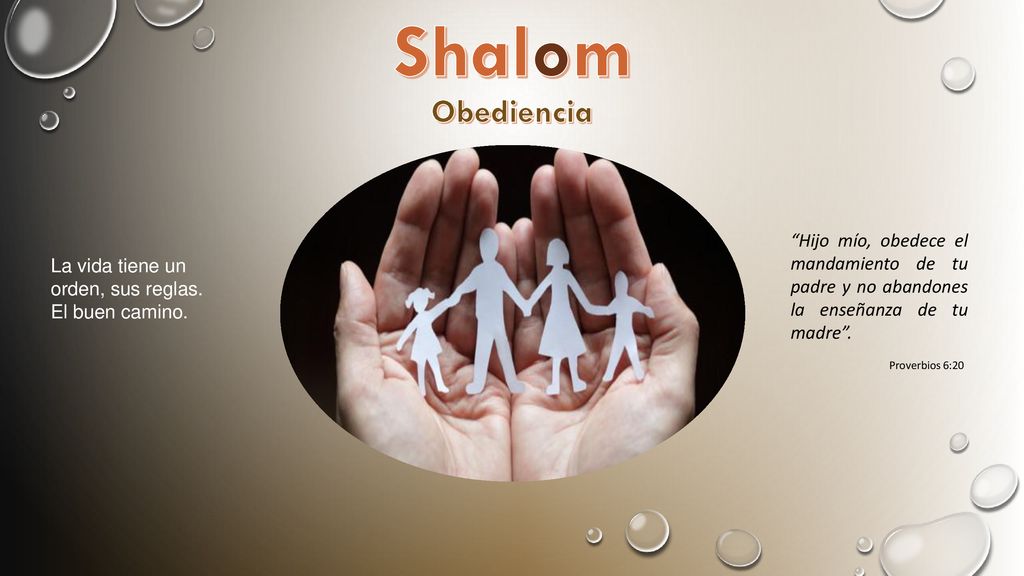 Shalom Obediencia. Hijo mío, obedece el mandamiento de tu padre y no abandones la enseñanza de tu madre .