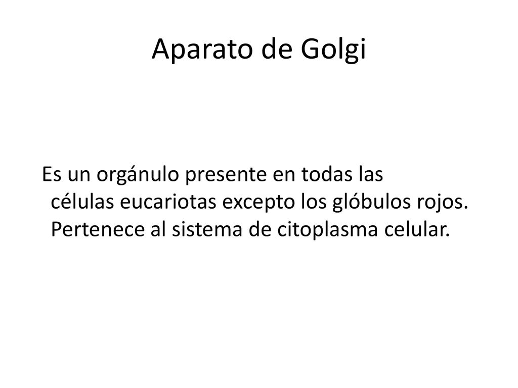 Aparato de Golgi Es un orgánulo presente en todas las células eucariotas excepto los glóbulos rojos.