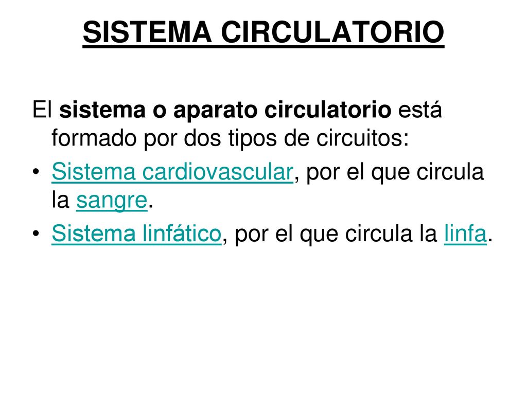 SISTEMA CIRCULATORIO El sistema o aparato circulatorio está formado por dos tipos de circuitos: