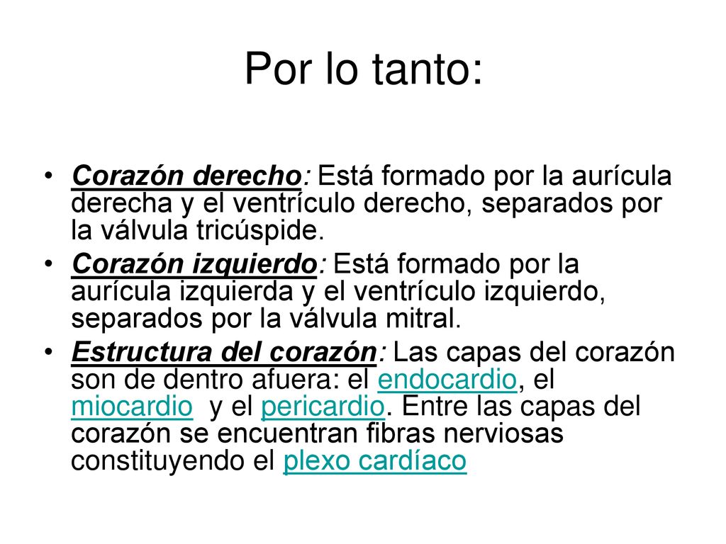Por lo tanto: Corazón derecho: Está formado por la aurícula derecha y el ventrículo derecho, separados por la válvula tricúspide.