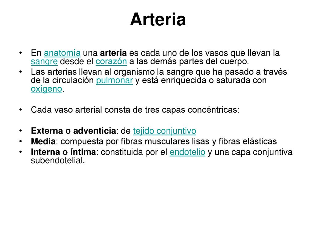 Arteria En anatomía una arteria es cada uno de los vasos que llevan la sangre desde el corazón a las demás partes del cuerpo.