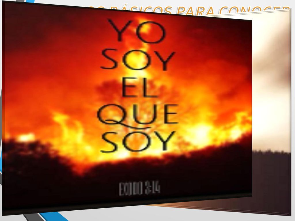D. Congréguese en una iglesia de sana doctrina y déjese pastorear