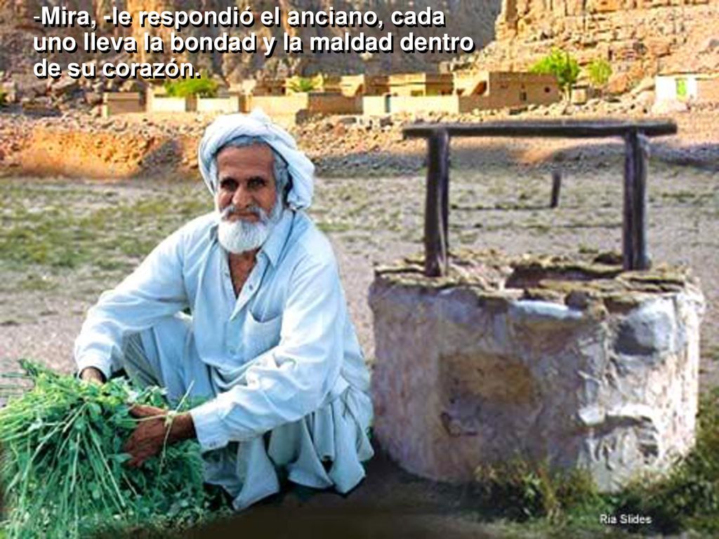 Mira, -le respondió el anciano, cada uno lleva la bondad y la maldad dentro de su corazón.
