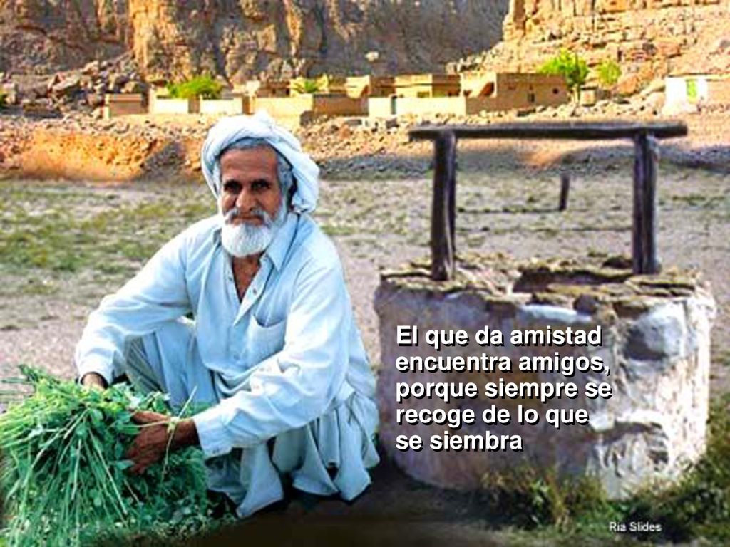 El que da amistad encuentra amigos, porque siempre se recoge de lo que se siembra