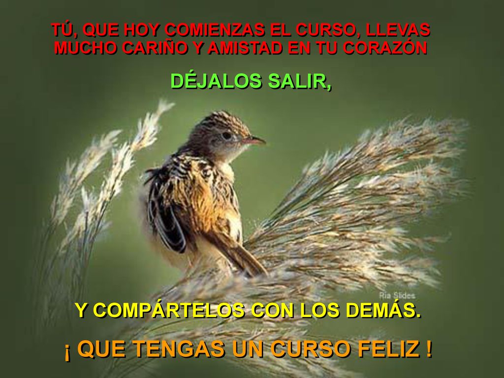 Y COMPÁRTELOS CON LOS DEMÁS. ¡ QUE TENGAS UN CURSO FELIZ !