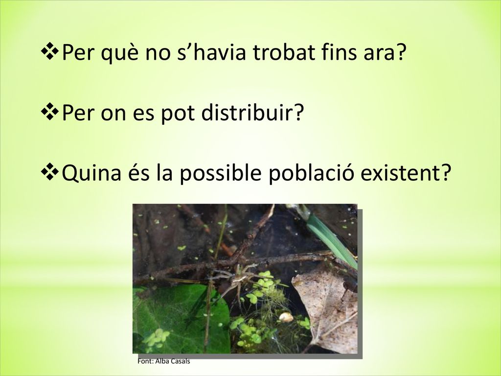 Per què no s’havia trobat fins ara Per on es pot distribuir