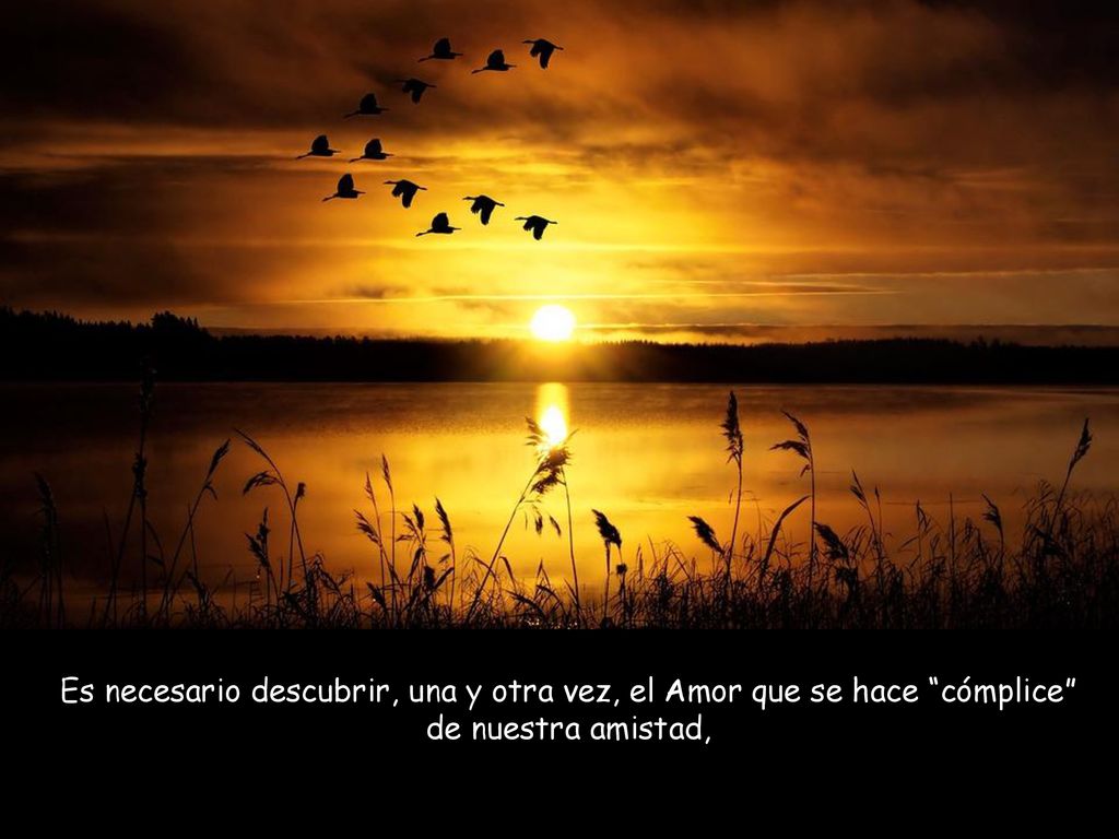 Es necesario descubrir, una y otra vez, el Amor que se hace cómplice de nuestra amistad,