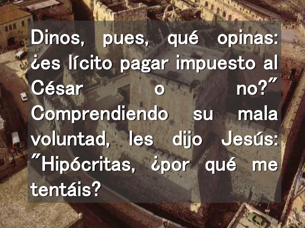 Dinos, pues, qué opinas: ¿es lícito pagar impuesto al César o no
