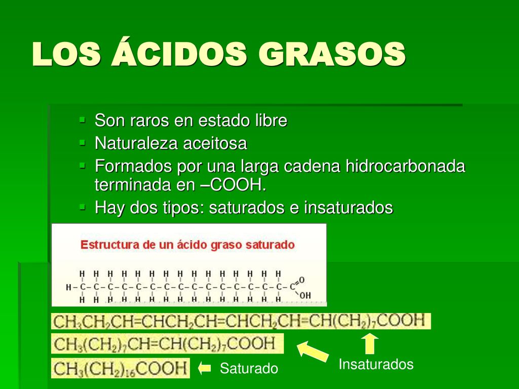 LOS ÁCIDOS GRASOS Son raros en estado libre Naturaleza aceitosa