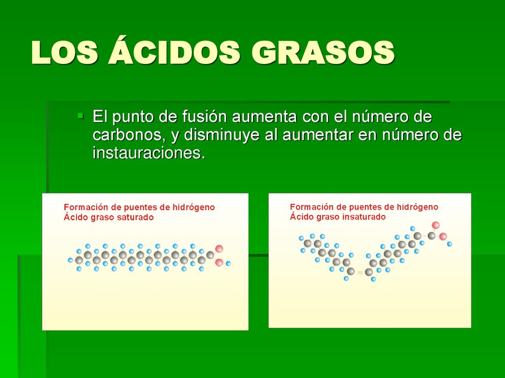 LOS ÁCIDOS GRASOS El punto de fusión aumenta con el número de carbonos, y disminuye al aumentar en número de instauraciones.