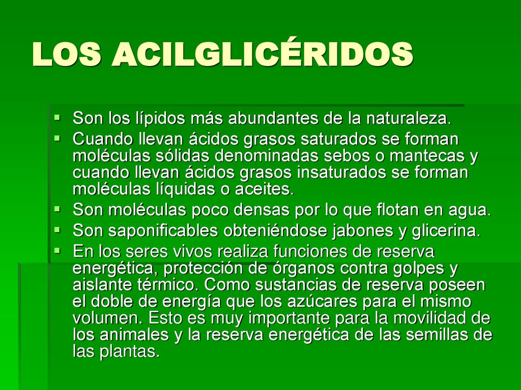 LOS ACILGLICÉRIDOS Son los lípidos más abundantes de la naturaleza.