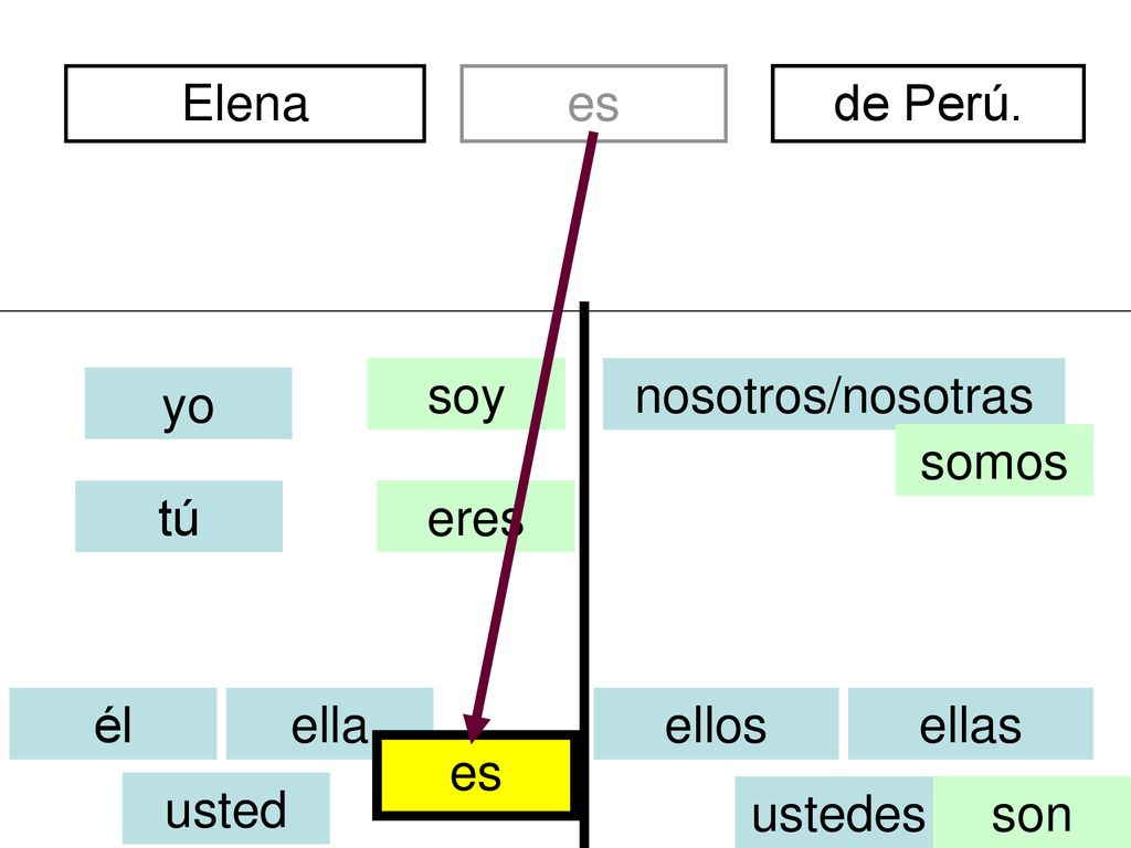 Elena es. divertidos. de Perú. soy. nosotros/nosotras. yo. somos. tú. eres. él. ella. ellos.