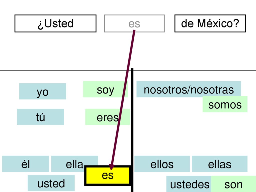 ¿Usted es. divertidos. de México soy. nosotros/nosotras. yo. somos. tú. eres. él. ella. ellos.