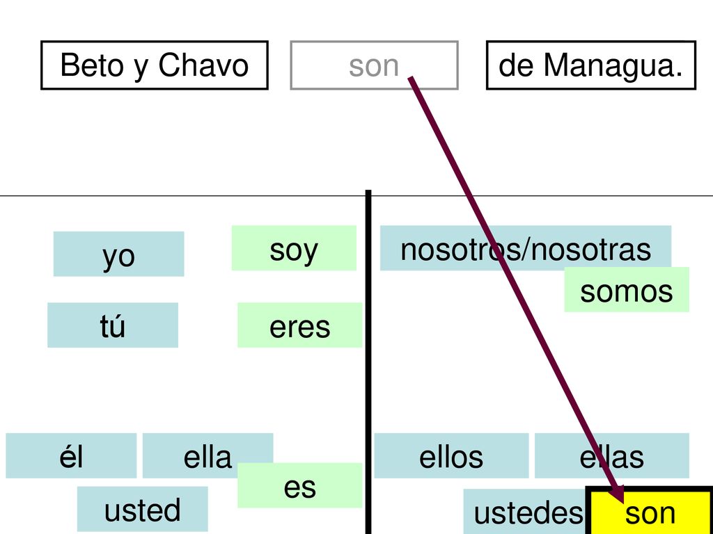 Beto y Chavo son. divertidos. de Managua. soy. nosotros/nosotras. yo. somos. tú. eres. él.