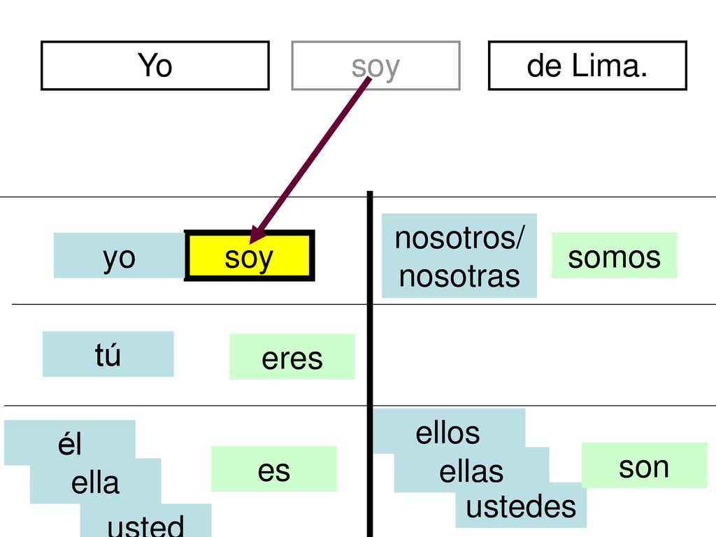 Yo soy. de Lima. divertidos. nosotros/nosotras. yo. soy. somos. tú. eres. ellos. él. es.