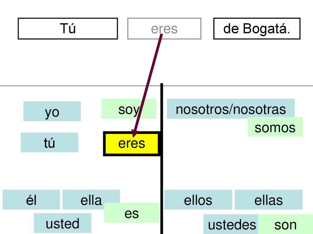 Tú eres. divertidos. de Bogatá. soy. nosotros/nosotras. yo. somos. tú. eres. él. ella. ellos.