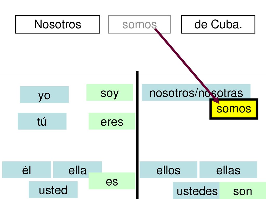 Nosotros somos. divertidos. de Cuba. soy. nosotros/nosotras. yo. somos. tú. eres. él. ella.