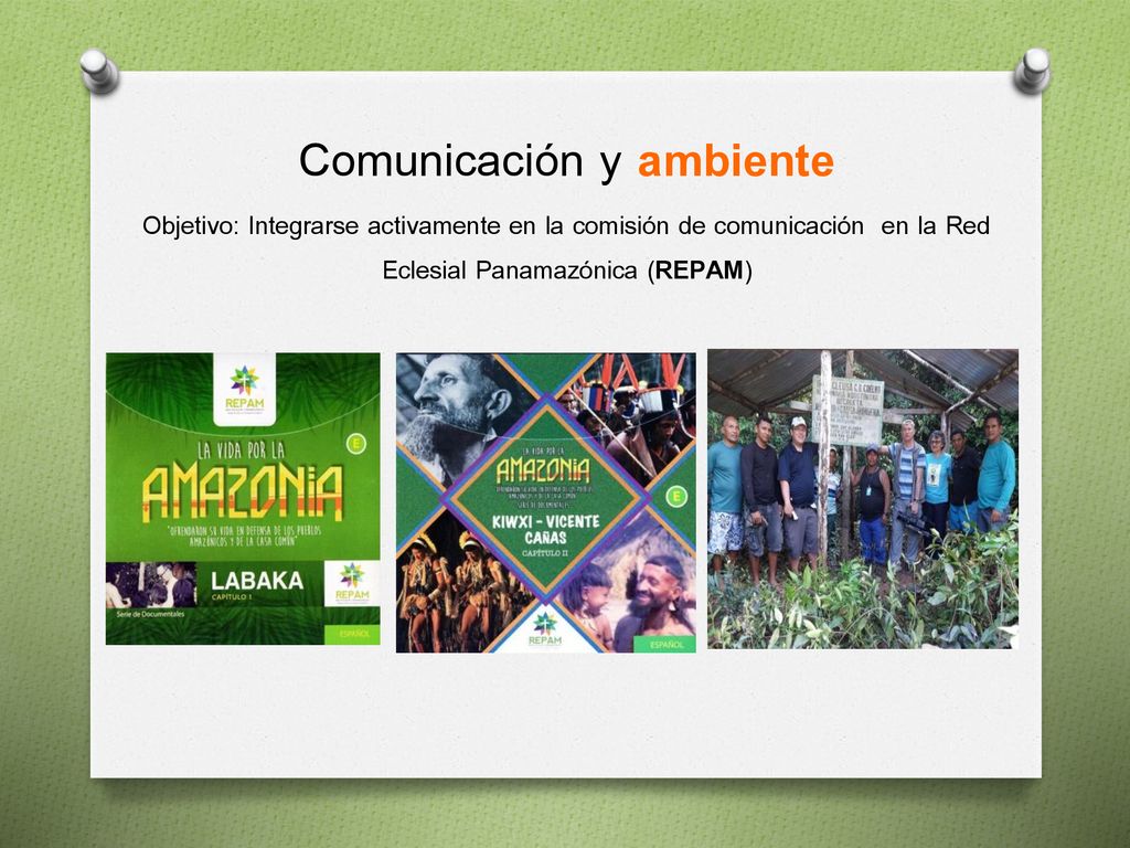 Comunicación y ambiente Objetivo: Integrarse activamente en la comisión de comunicación en la Red Eclesial Panamazónica (REPAM)