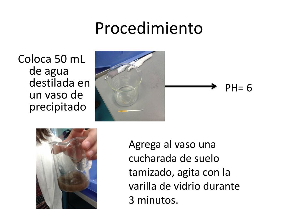 Procedimiento Coloca 50 mL de agua destilada en un vaso de precipitado