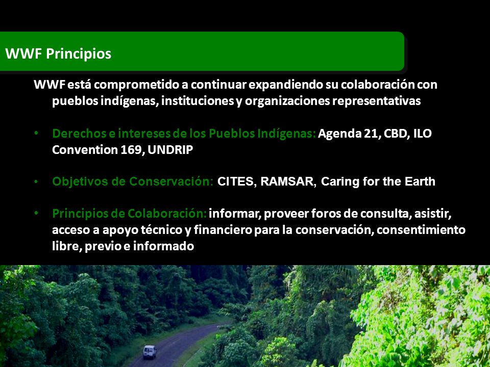 WWF Principios WWF está comprometido a continuar expandiendo su colaboración con pueblos indígenas, instituciones y organizaciones representativas.