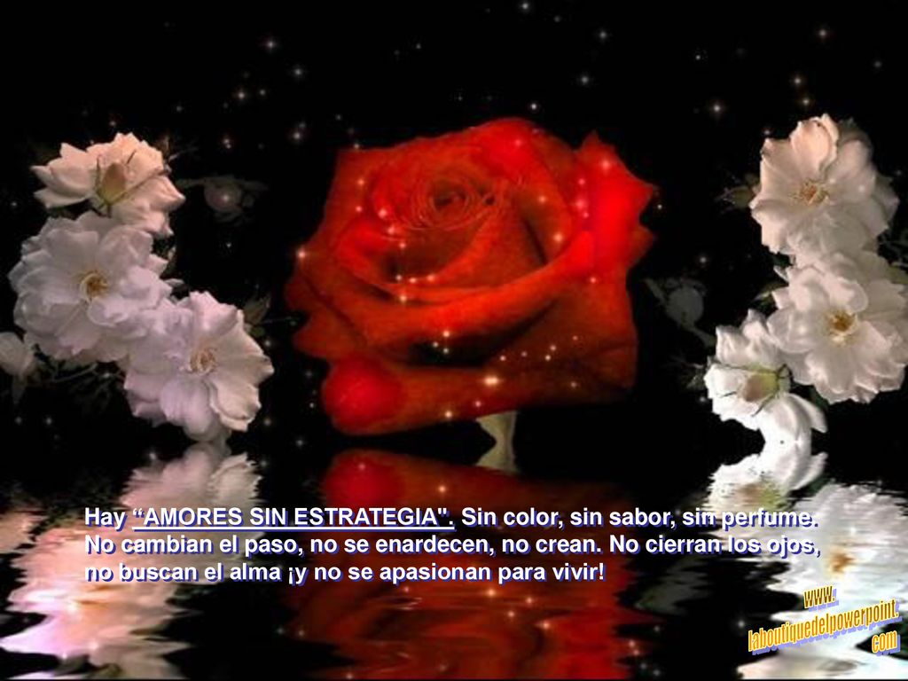 Hay AMORES SIN ESTRATEGIA . Sin color, sin sabor, sin perfume