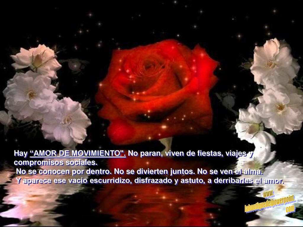 Hay AMOR DE MOVIMIENTO . No paran, viven de fiestas, viajes y