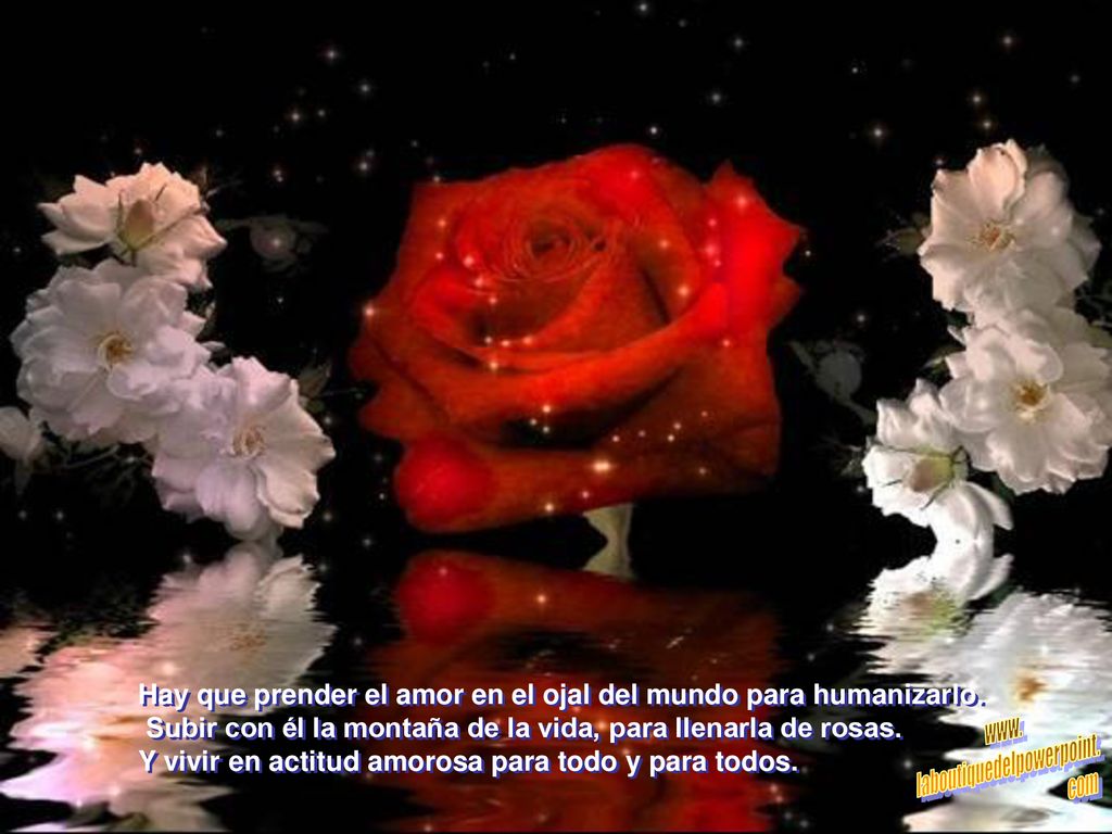 Hay que prender el amor en el ojal del mundo para humanizarlo.