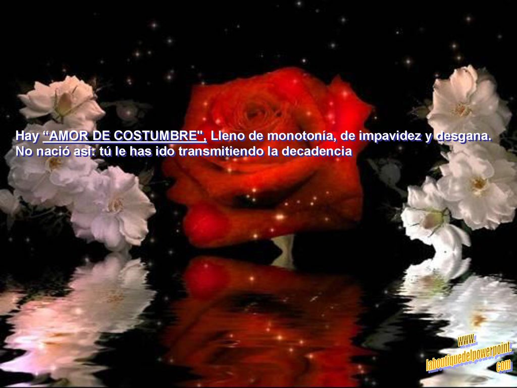 Hay AMOR DE COSTUMBRE , Lleno de monotonía, de impavidez y desgana.