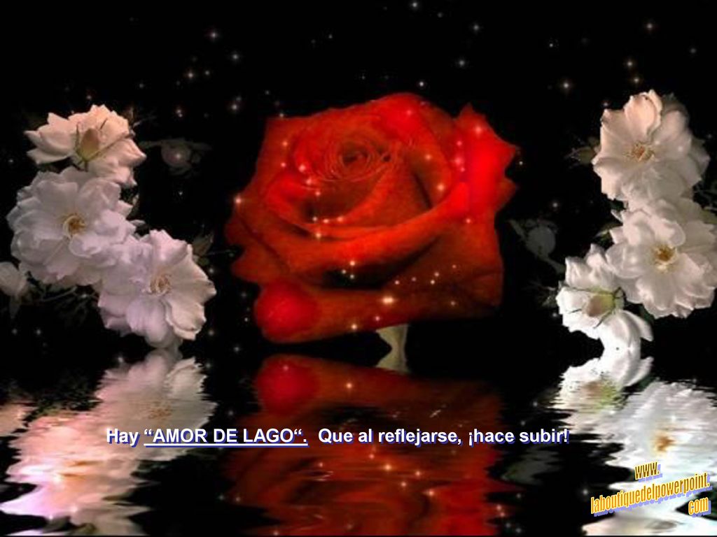 Hay AMOR DE LAGO . Que al reflejarse, ¡hace subir!