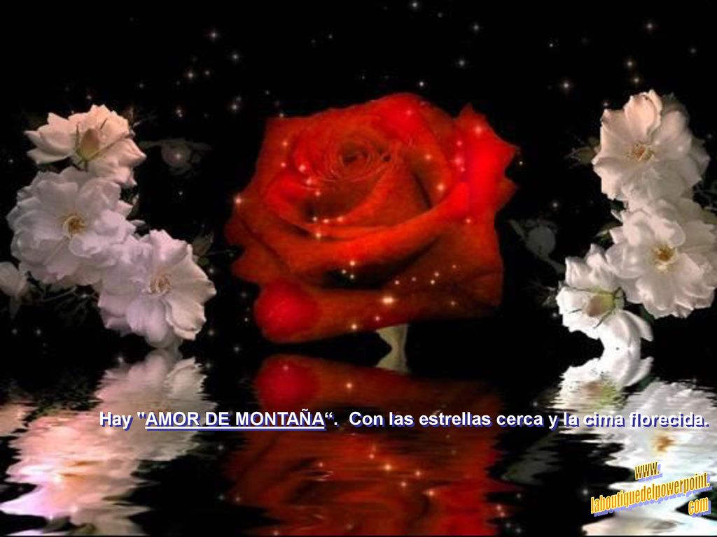 Hay AMOR DE MONTAÑA . Con las estrellas cerca y la cima florecida.
