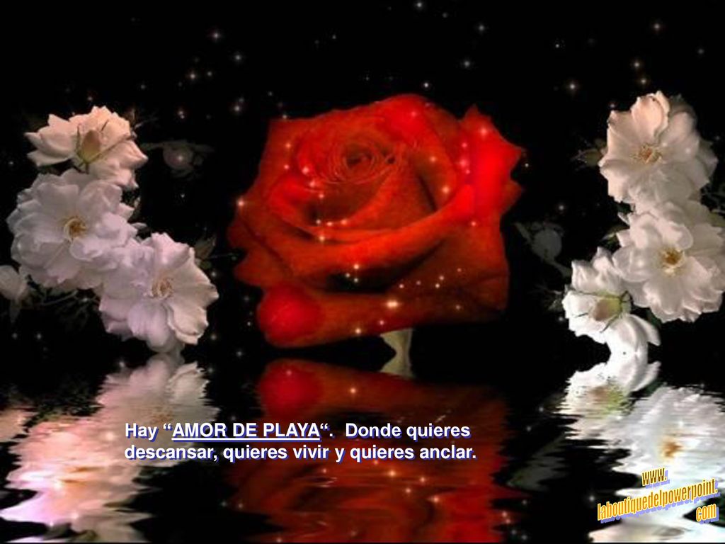 Hay AMOR DE PLAYA . Donde quieres descansar, quieres vivir y quieres anclar.