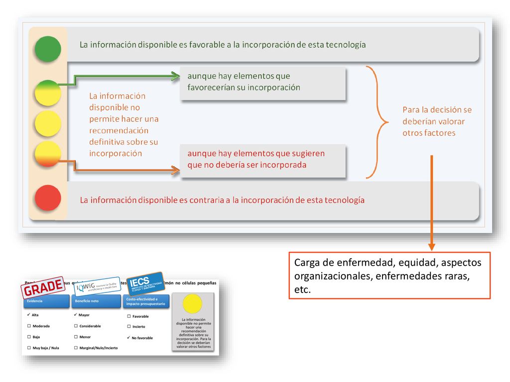 Carga de enfermedad, equidad, aspectos organizacionales, enfermedades raras, etc.