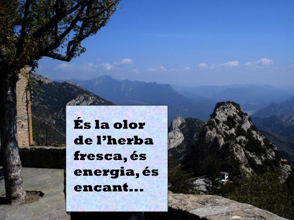 És la olor de l’herba fresca, és energia, és encant...