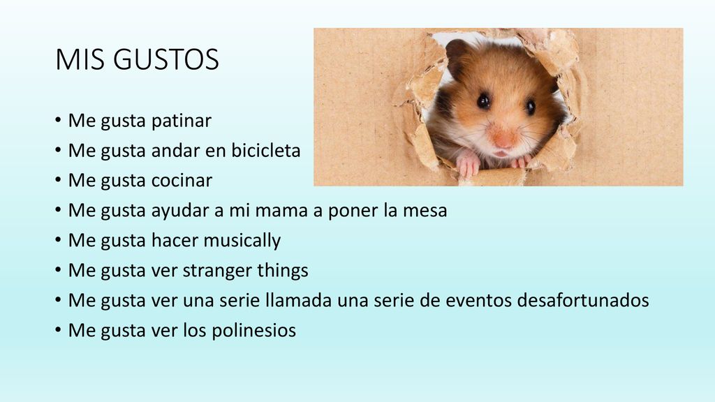 MIS GUSTOS Me gusta patinar Me gusta andar en bicicleta
