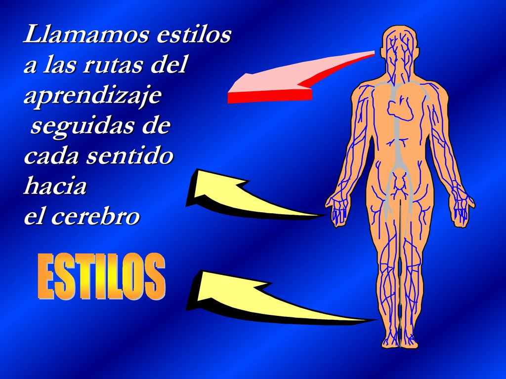 Llamamos estilos a las rutas del aprendizaje seguidas de cada sentido