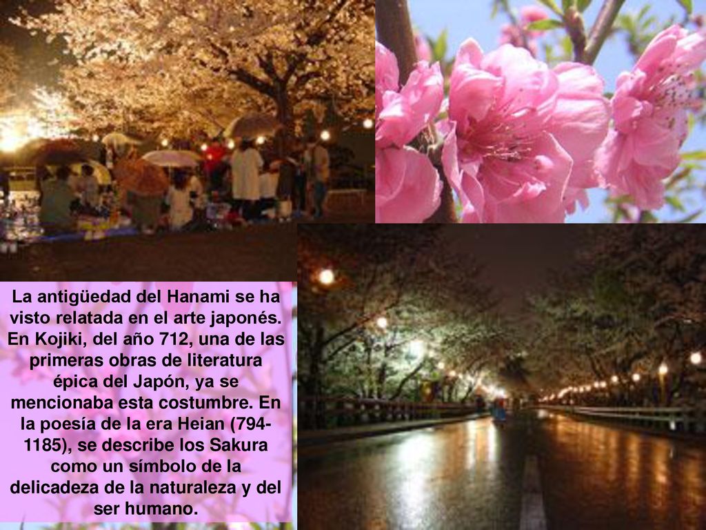 La antigüedad del Hanami se ha visto relatada en el arte japonés