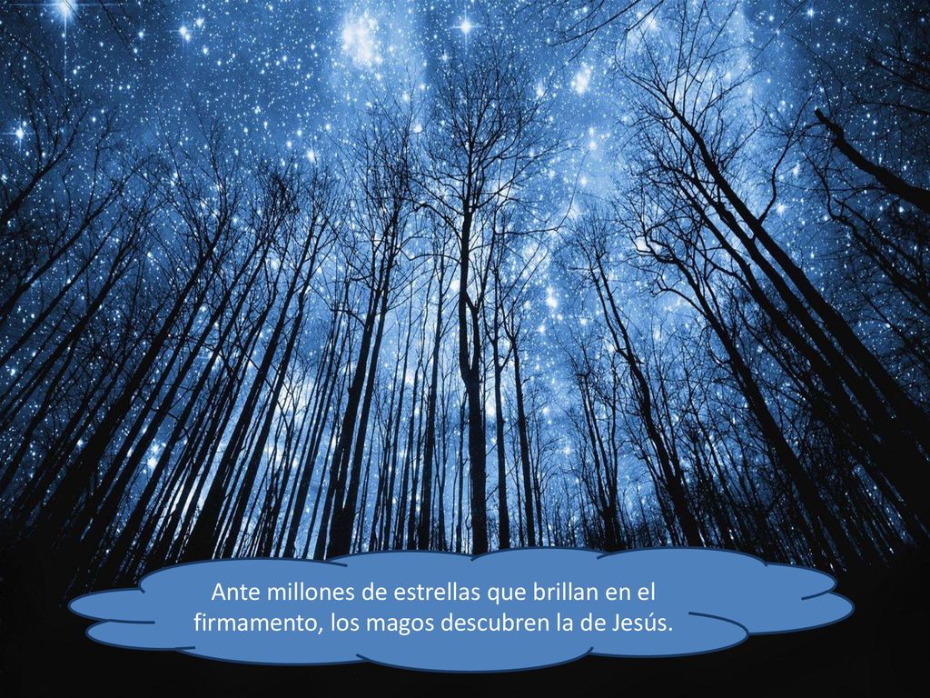 Ante millones de estrellas que brillan en el firmamento, los magos descubren la de Jesús.