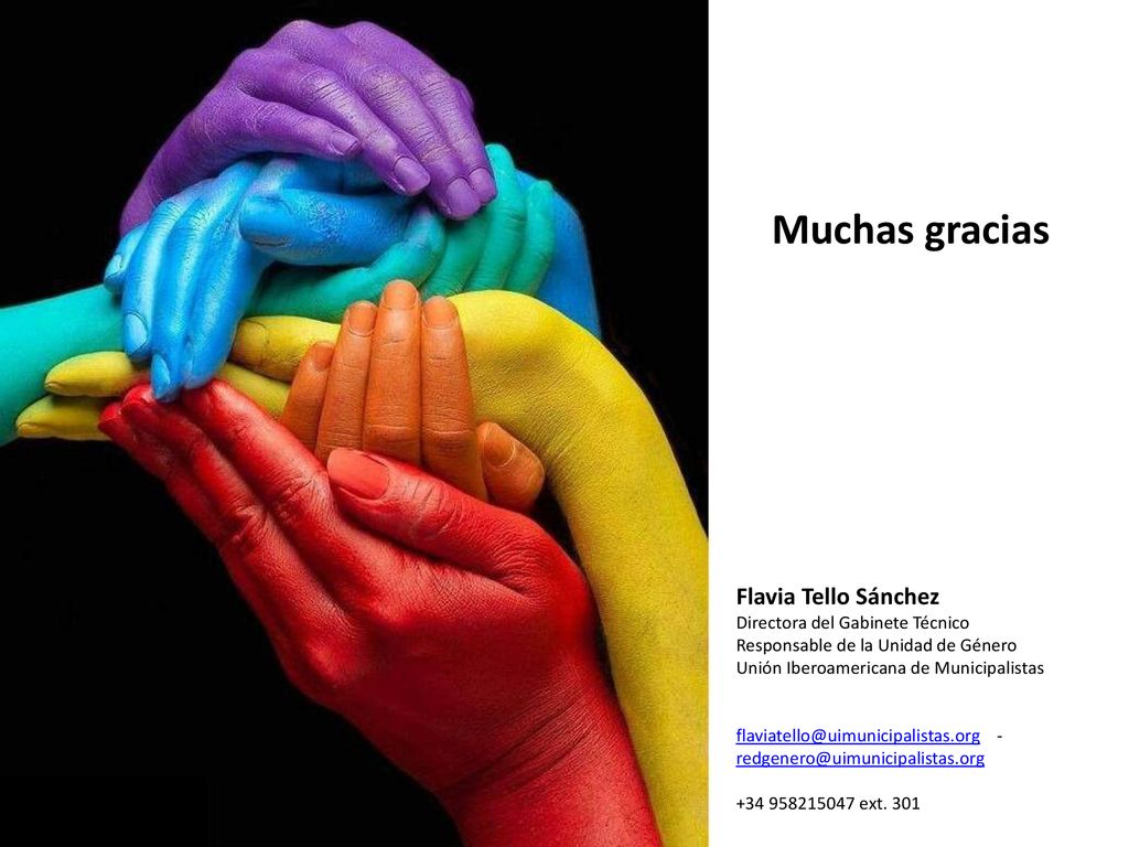 Muchas gracias Flavia Tello Sánchez Directora del Gabinete Técnico