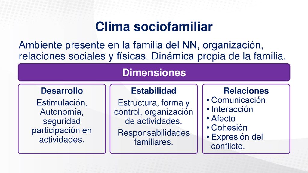 Clima sociofamiliar Ambiente presente en la familia del NN, organización, relaciones sociales y físicas. Dinámica propia de la familia.