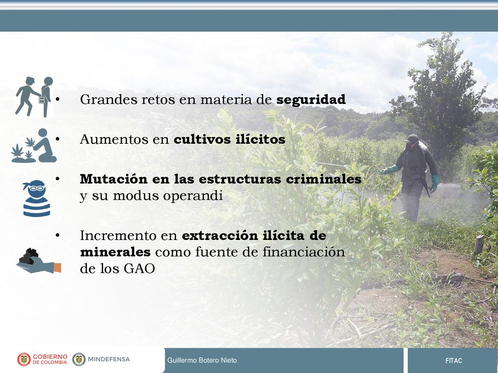 Grandes retos en materia de seguridad Aumentos en cultivos ilícitos