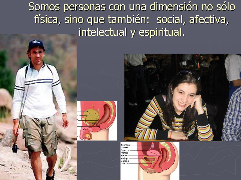 Somos personas con una dimensión no sólo física, sino que también: social, afectiva, intelectual y espiritual.